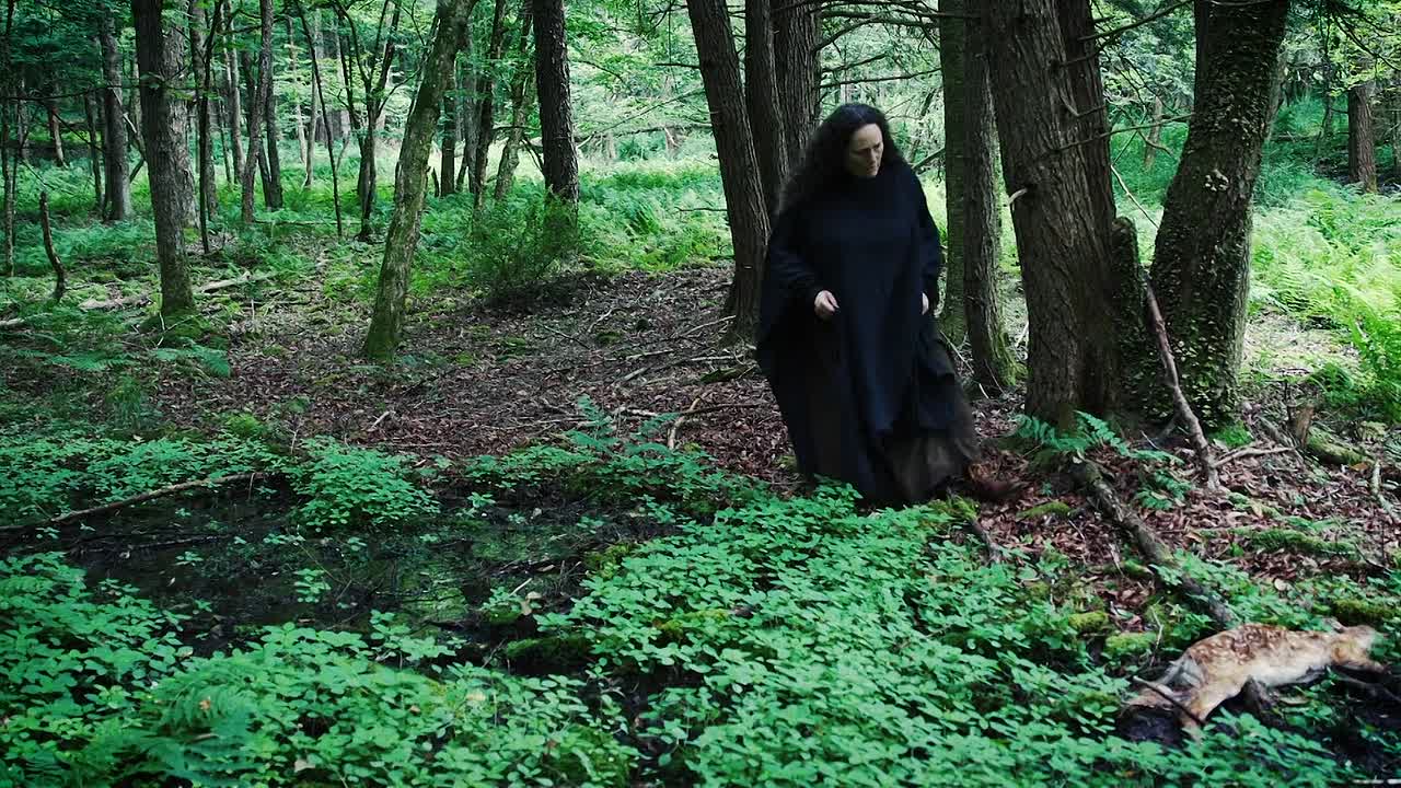 ⁣Mother Of Flies 2025 1080p WEBRip x264 AAC-[YTS BZ]