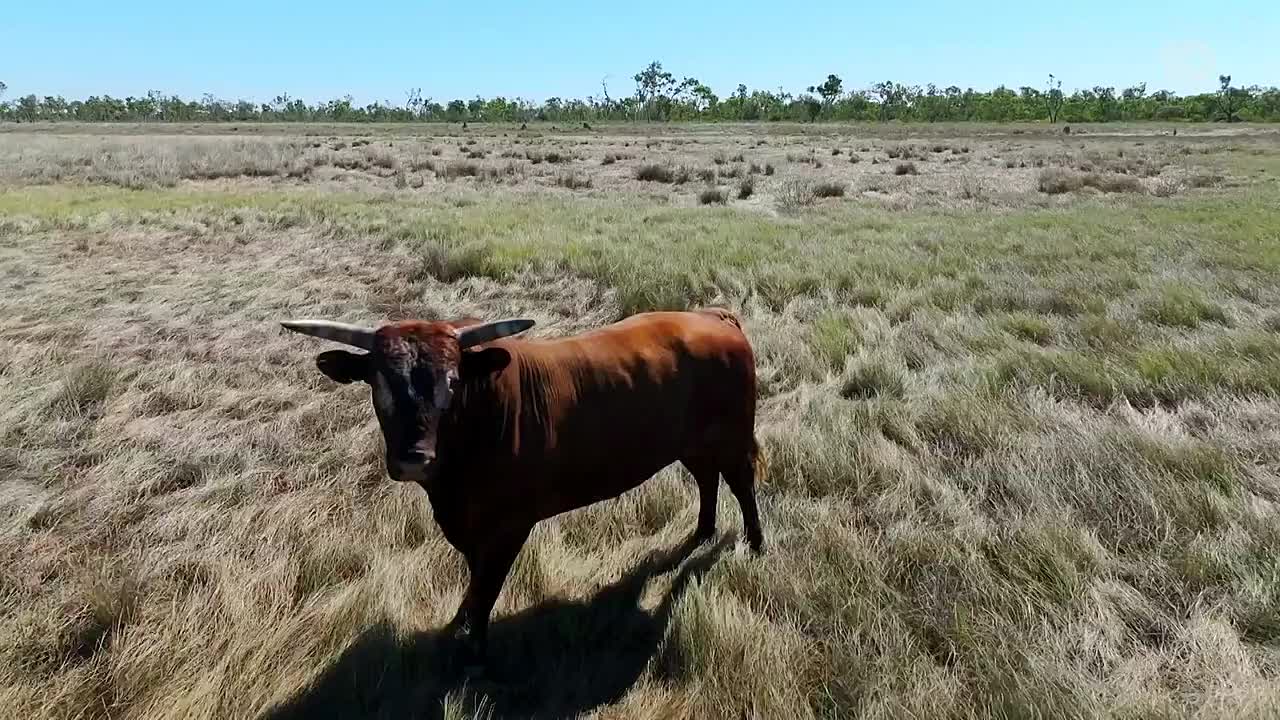 All-4-Adventure-S17E08---1080p-WEB-