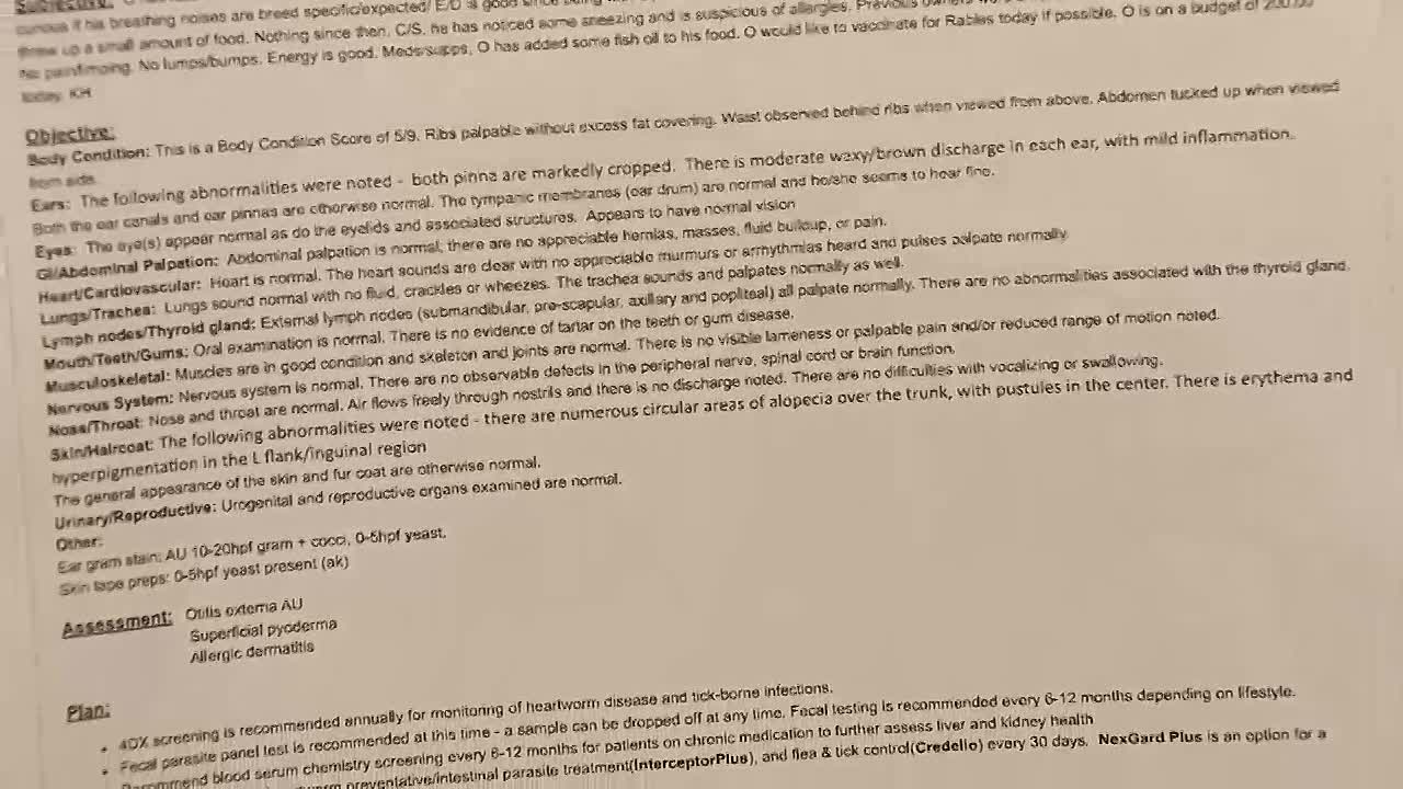 Judy Justice S04E06 1080p WEB