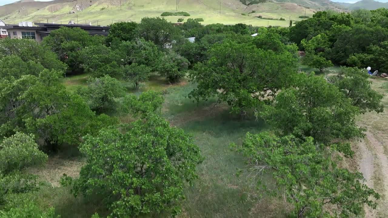 Antiques Roadshow US S30E02 1080p WEB h264-BAE - DoodStream