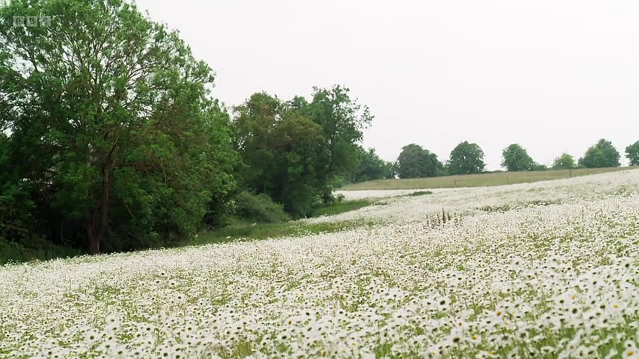 Escape To The Country S26E25 720p WEB H 264-JFF - DoodStream