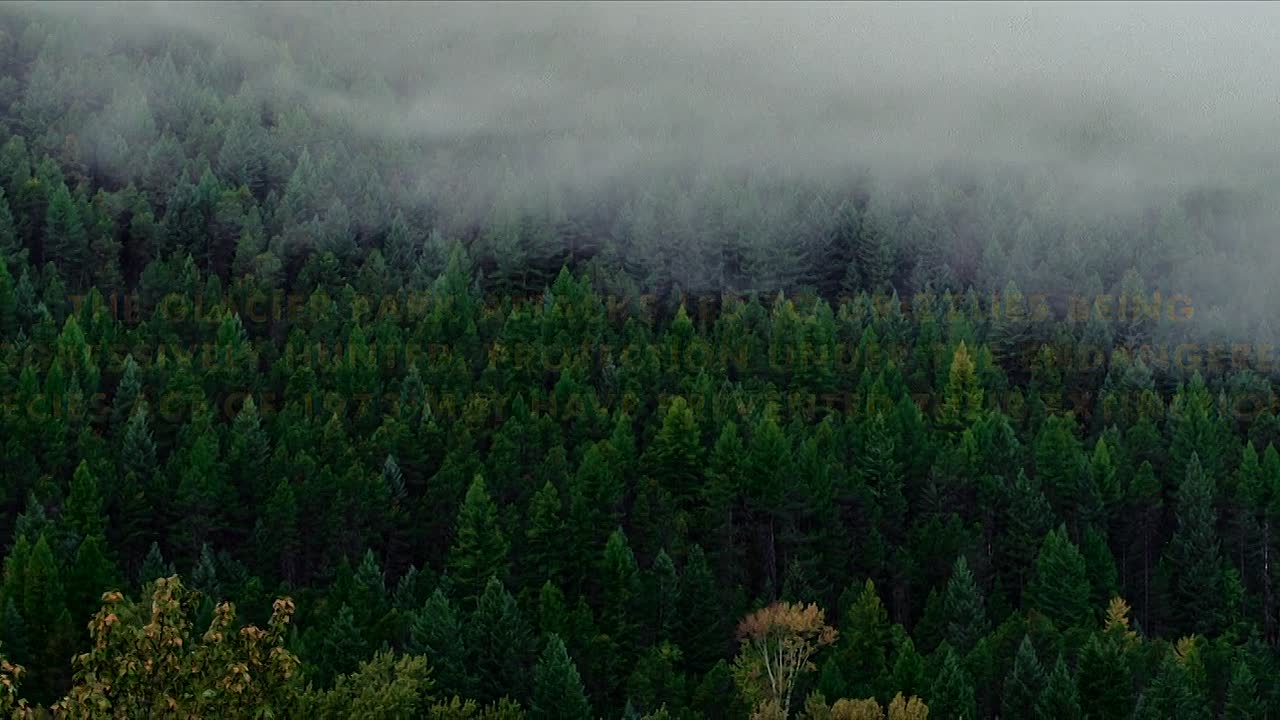 ⁣Grizzly Night 2026 1080p WEBRip x264 AAC5 1-[YTS BZ]