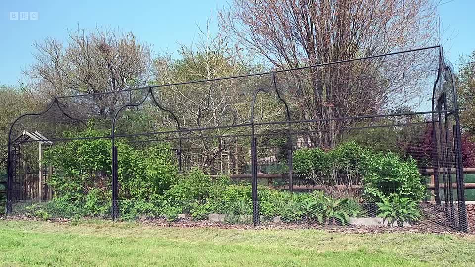 Escape to the Country S26E26 (Jan 27 2026) [540p mp4 subs] - DoodStream