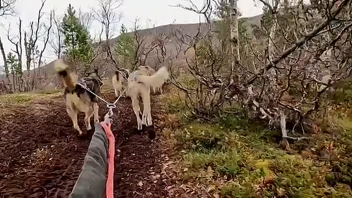 ⁣Lorraine Kelly's Norwegian Odyssey S01E03