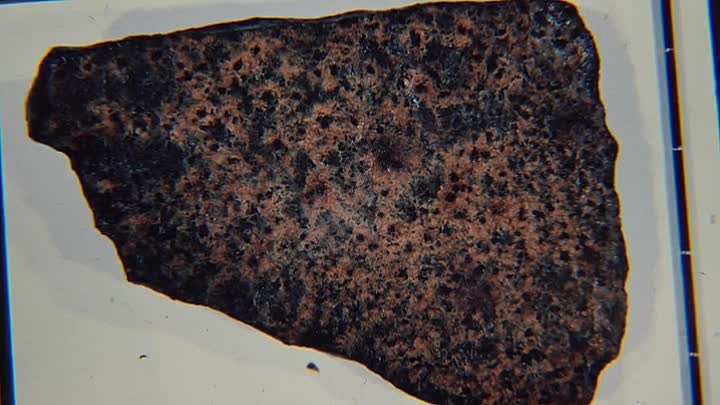 Quest For The Lost Vikings S01E01 -The Quest Begins!