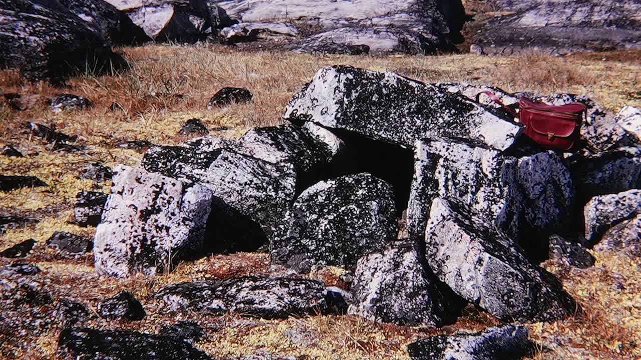 quest for the lost vikings s01e02 1080p web h264-cbfm