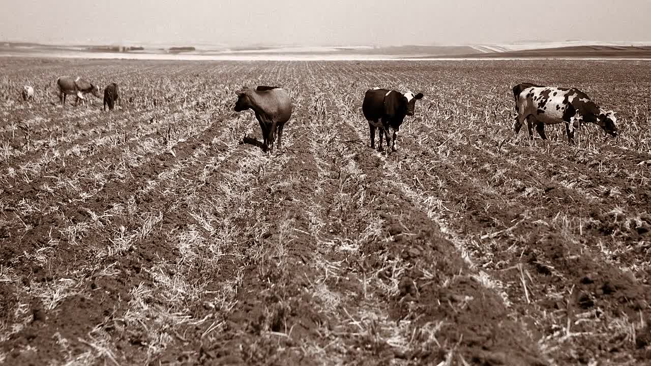 The UnXplained S08E03