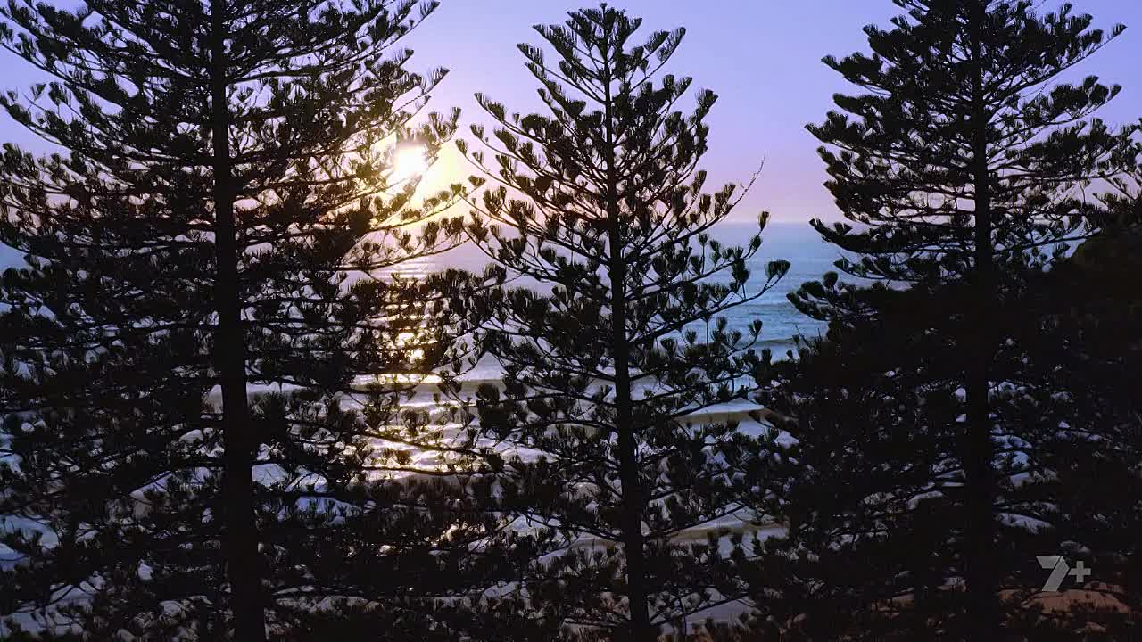 Home And Away S39E010 720p WEB-DL AAC2 0 H 264-WH - DoodStream