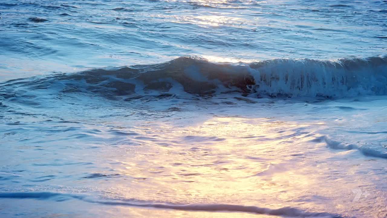 Home And Away S39E011 720p WEB-DL AAC2 0 H 264-WH - DoodStream