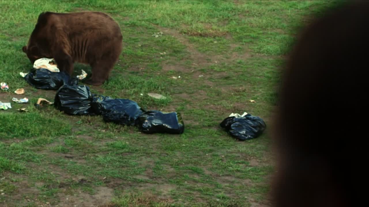 Grizzly Night 2026 1080p WEBRip 10Bit DDP 5 1 x265-NeoNoir