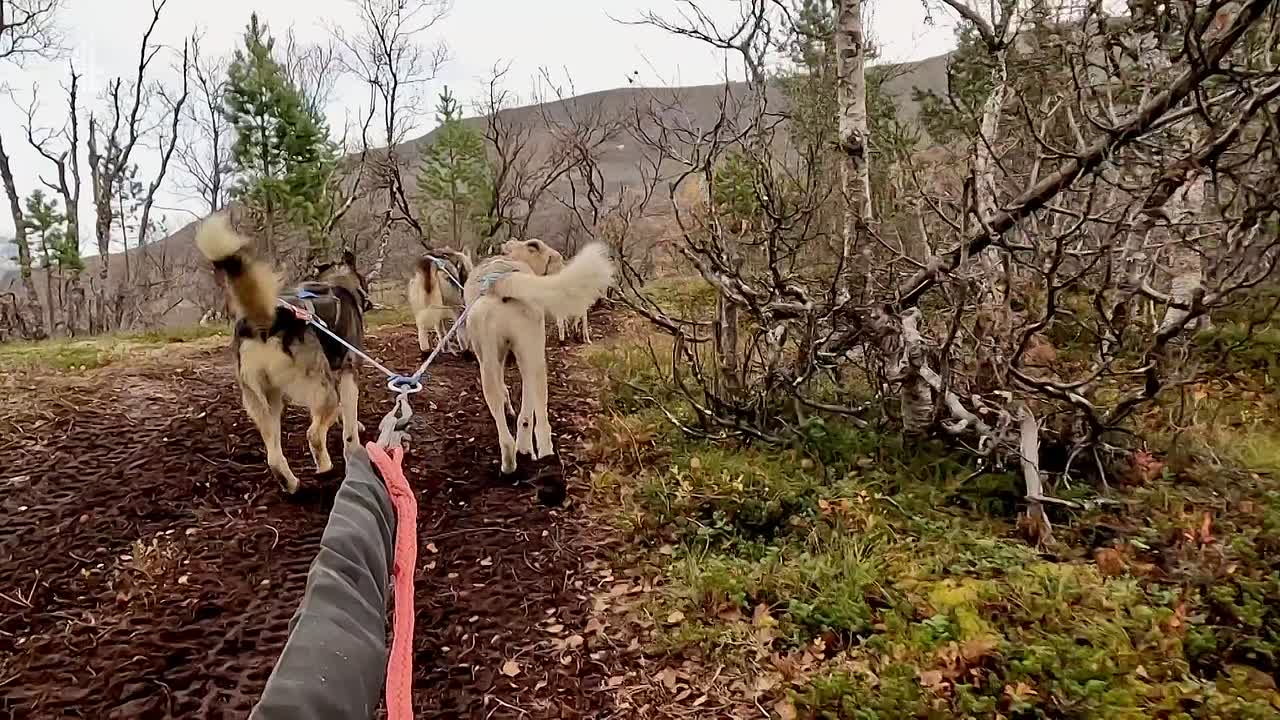 ⁣Lorraine Kellys Norwegian Odyssey S01E03 1080p HDTV H264-DARKFLiX