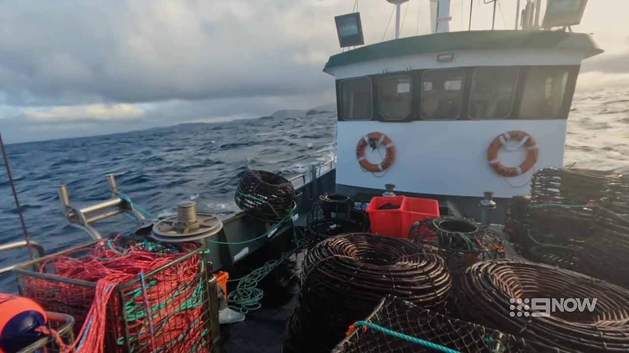 ⁣Aussie Lobster Men S05E05 720p 9NOW WEB-DL AAC2 0 H 264-NTb - DoodStream