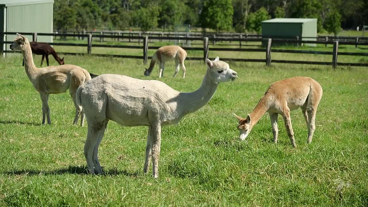 ⁣Better Homes and Gardens Summer S22E09 720p WEBRip x264-7VFr33104D