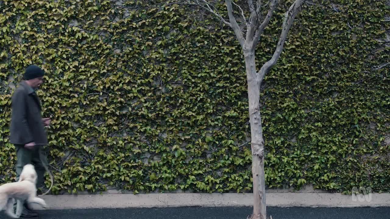 D P 2026 S01E03 1080p iVIEW WEB-DL