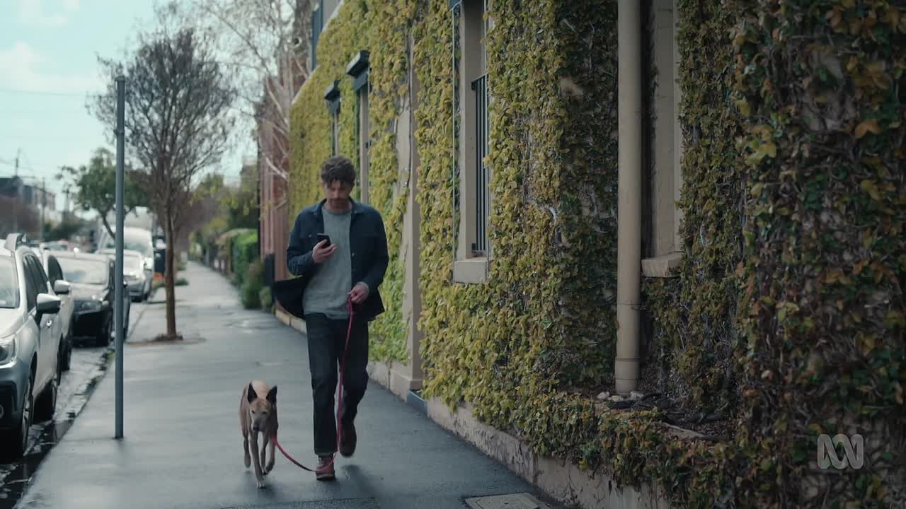 D P 2026 S01E04 1080p iVIEW WEB-DL