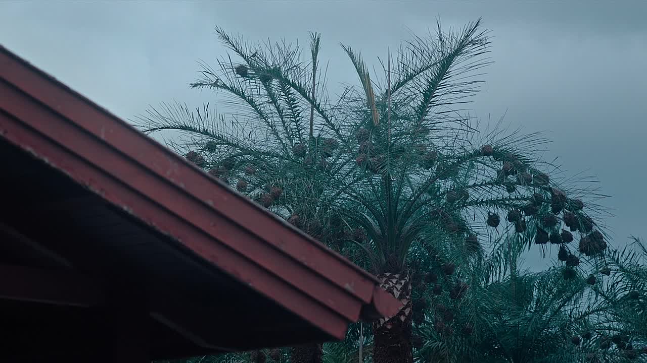 ⁣Muganga Celui Qui Soigne 2025 FRENCH 720P WEBRIP x264 AAC-Wawacity irish