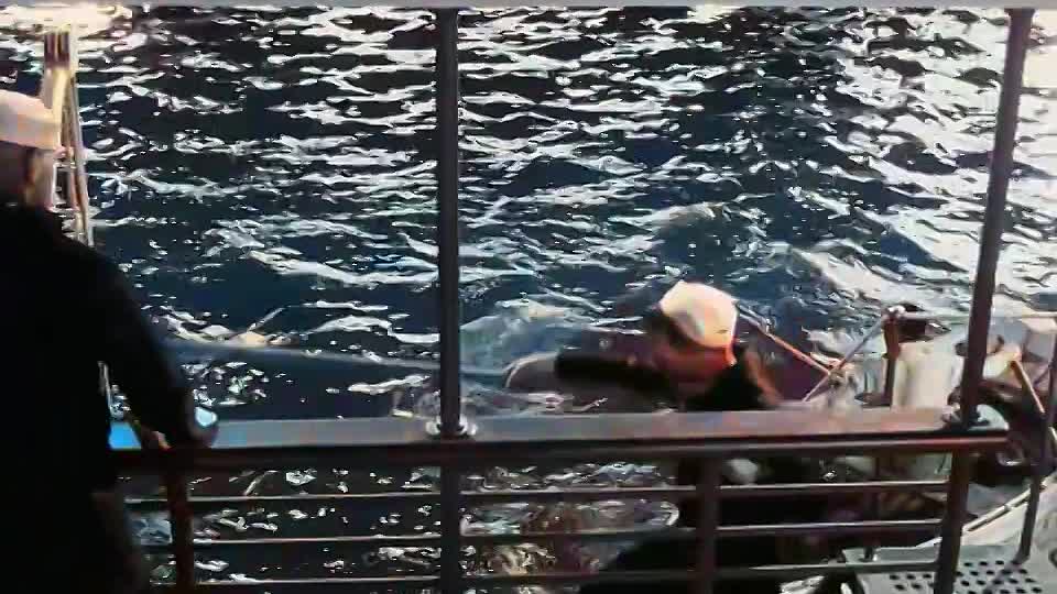 ⁣The Great Gatsby 1949 Colorized 720p WEBRip x264 AAC