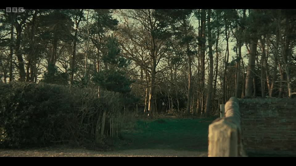 ⁣Silent Witness S29E02 The Disappearance of Alice Hill 2 WEB-DL x264-JiVE