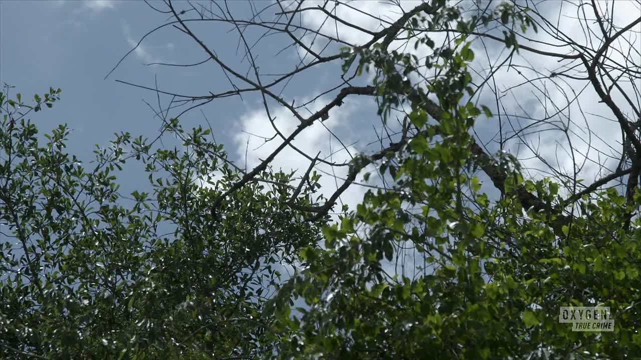 ⁣Snapped S36E05 Samantha Rabon 1080p HULU WEB-DL AAC2 0 H 264-RAWR