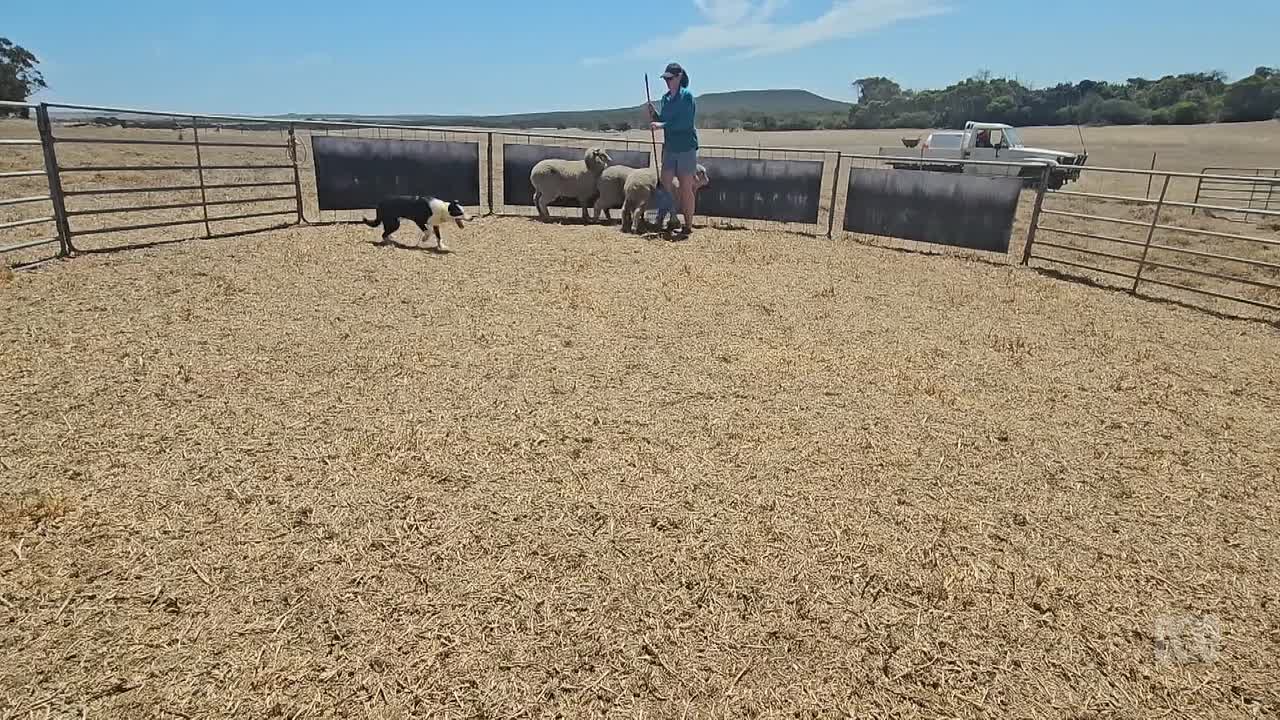 ⁣M D S04E02 1080p WEB x264-NGP