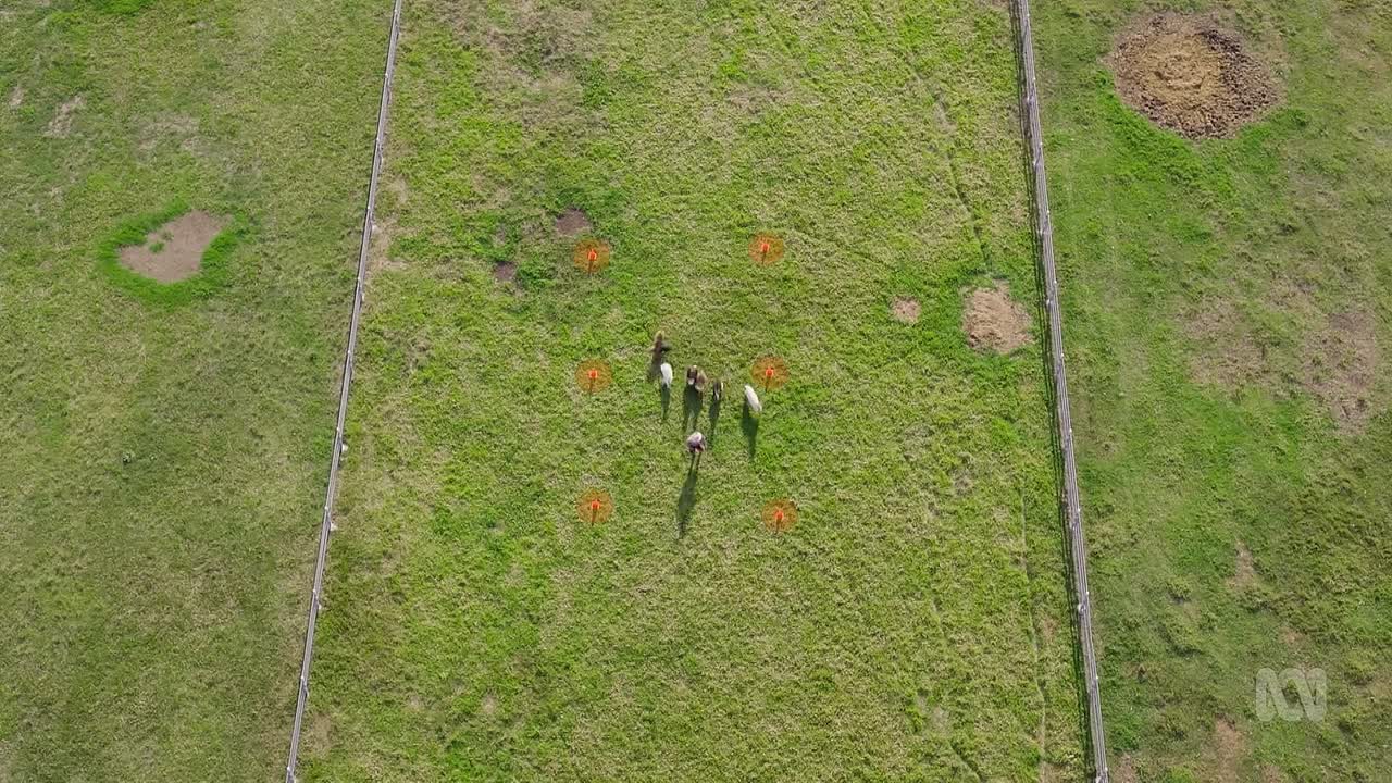 M D S04E06 1080p WEB x264-NGP