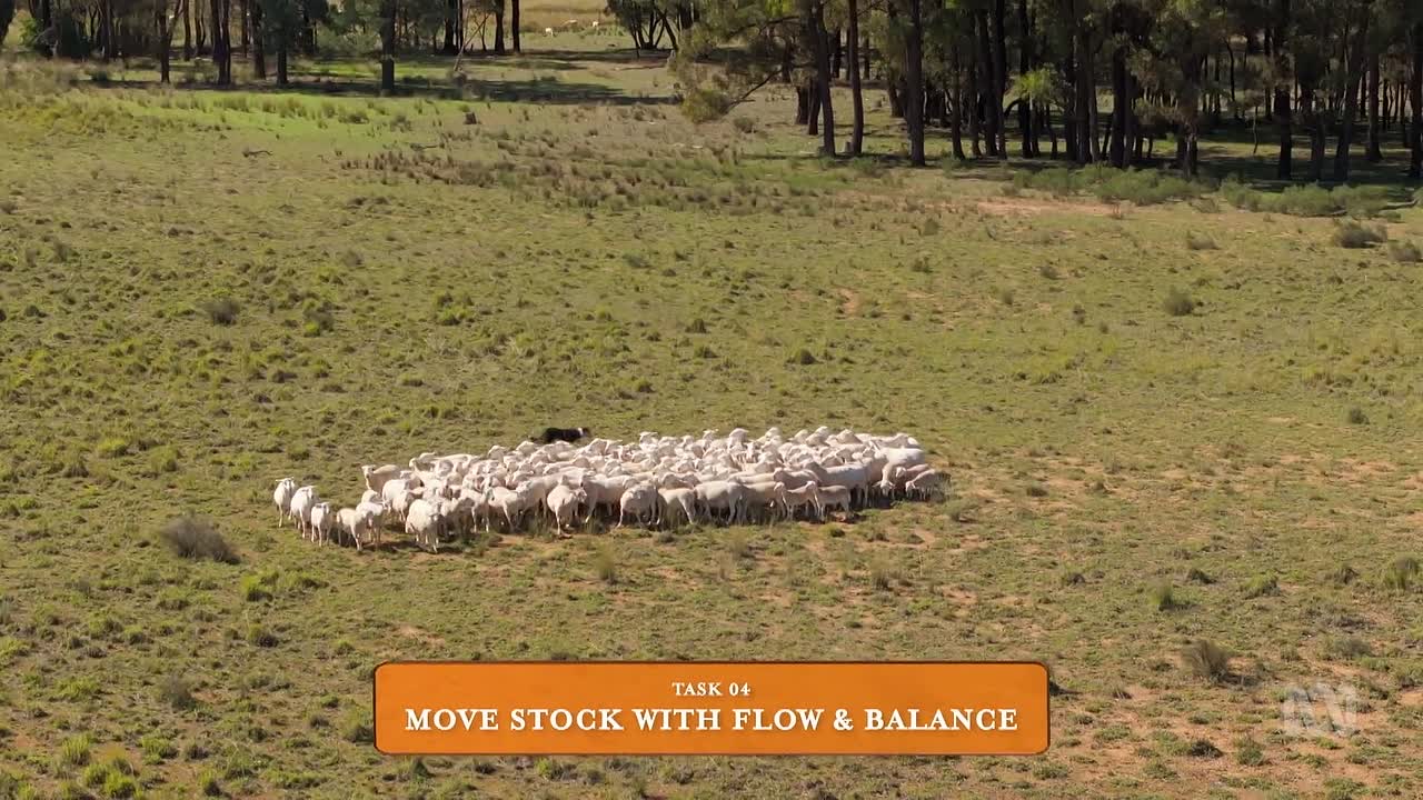 ⁣M D S04E05 1080p WEB x264-NGP