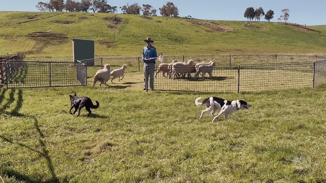 ⁣M D S04E04 1080p WEB x264-NGP