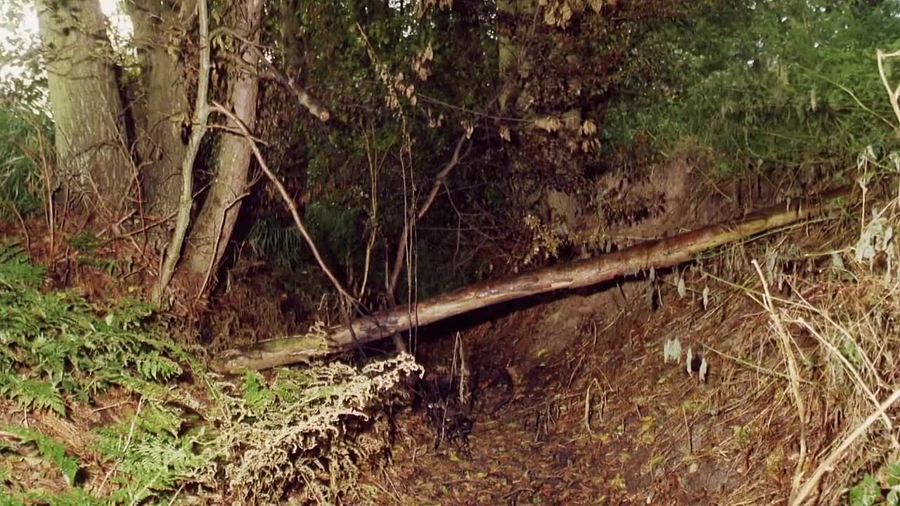 Soham -The Murder Of Holly & Jessica S01E02