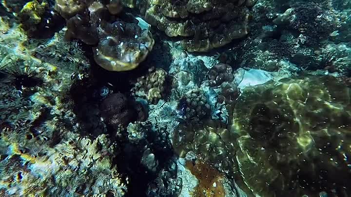 Inside The Enchanted Waterways S01E01