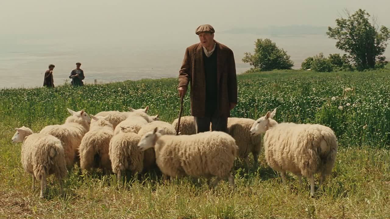 Amelia 2009 1080p BluRay x264 AAC5 1-