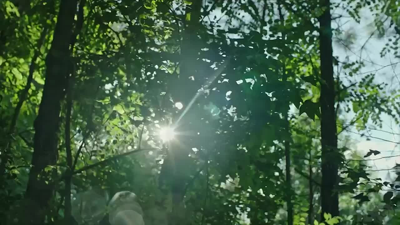 Sharp Objects (2018)