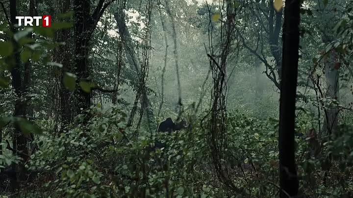 Mehmed Fetihler Sultani - Episode 50 - S03E05