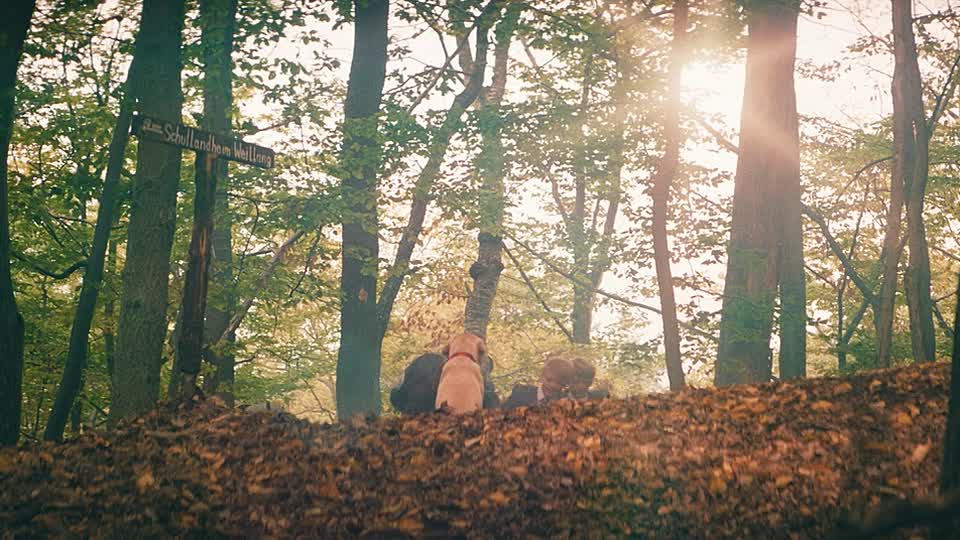 ⁣Die unlangweiligste Schule der Welt 2023 German 720p BluRay x264-PL3X