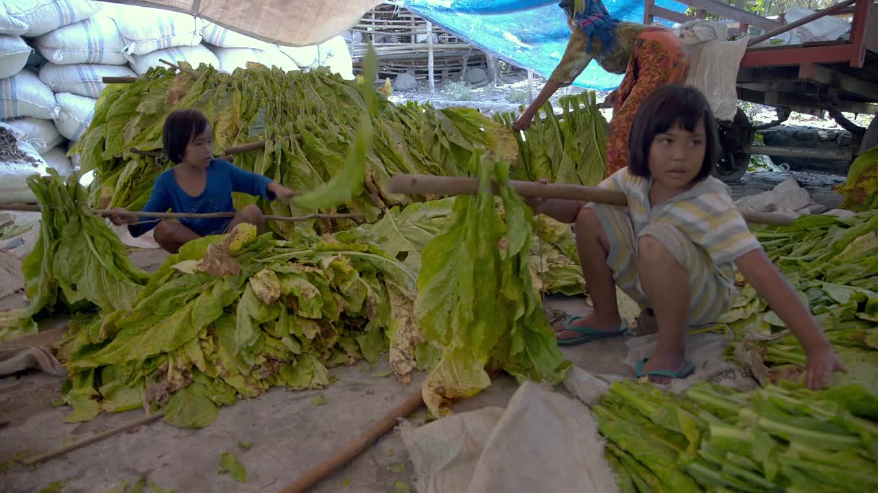 Invisible Hands 2018