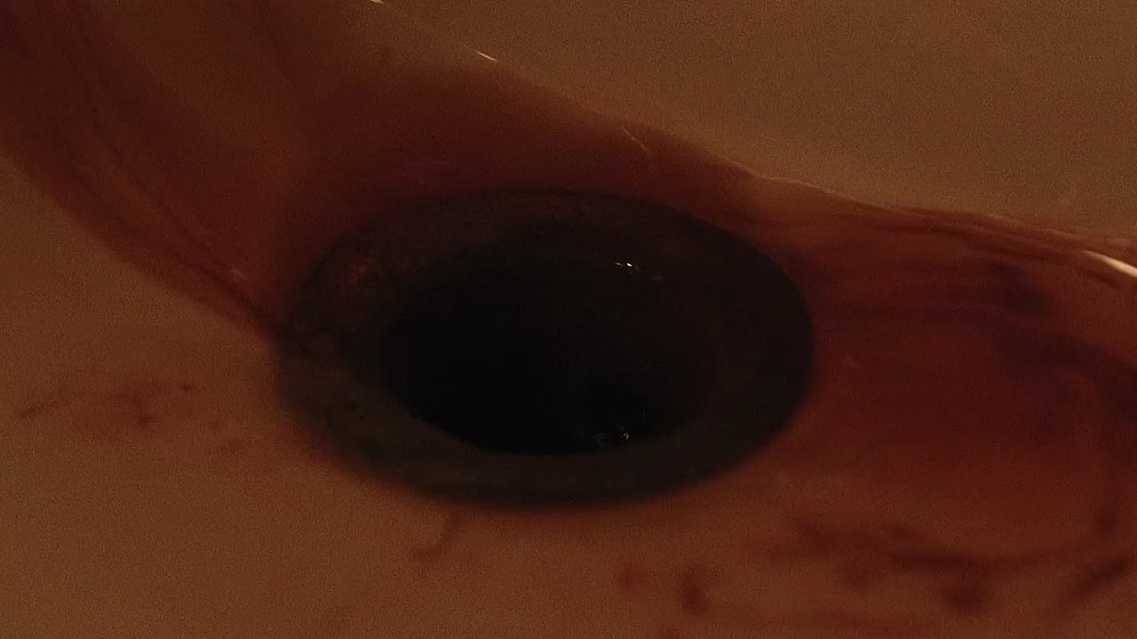 The Drowned 2025 1080p WEBRip x264 AAC5 1-