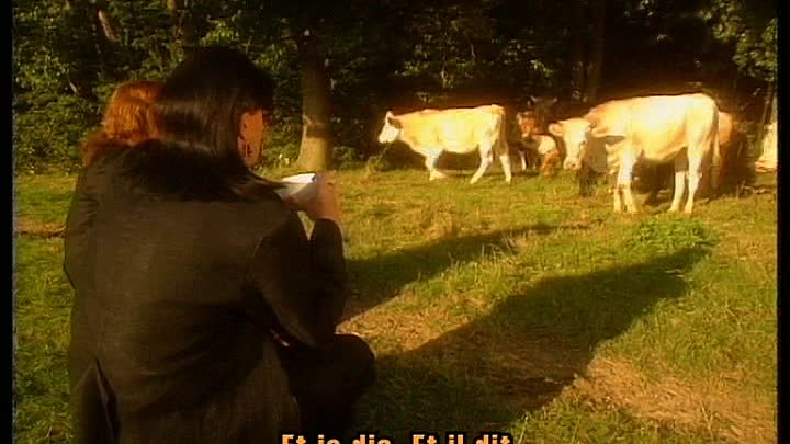 ⁣les Inconnus Vice et Versa FRENCH 576p HDRip MPEG2 AAC