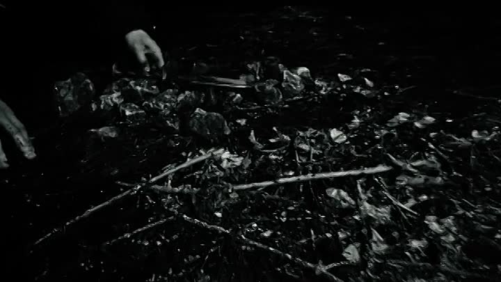 The Hallowed Knight [Audio- Rus] 2024