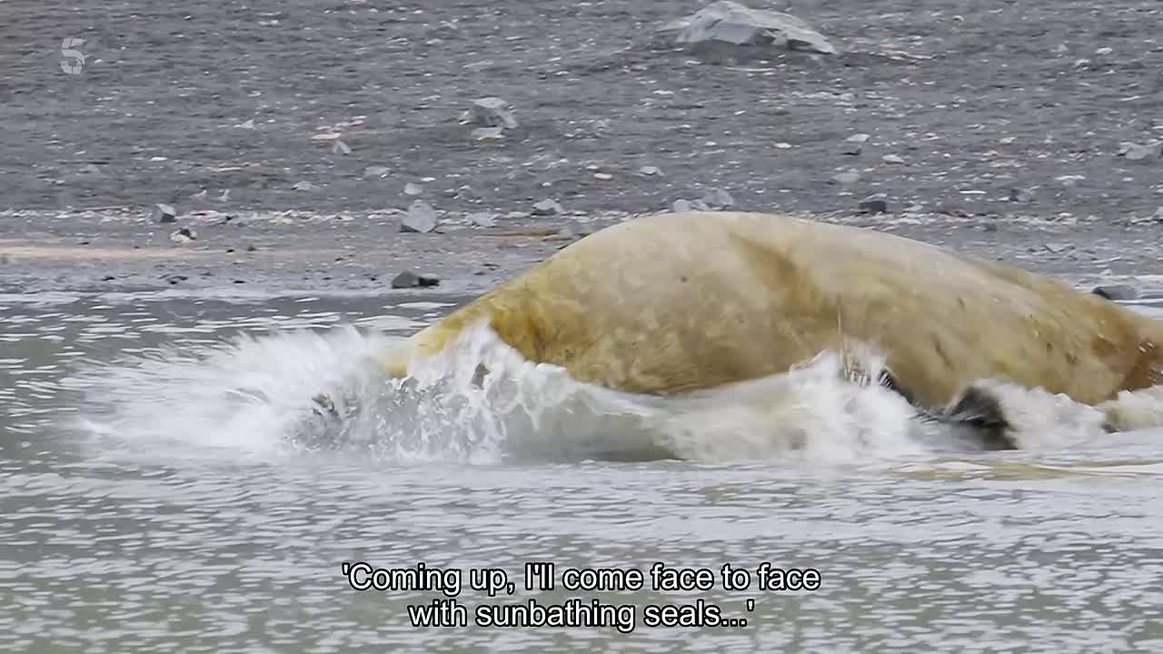 Jane McDonald From Pole to Pole S01E01 The Antarctic Peninsula