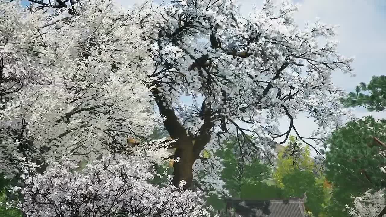 The Wonderland of Ten Thousands S04E07 (135) 1080p ENG SUB