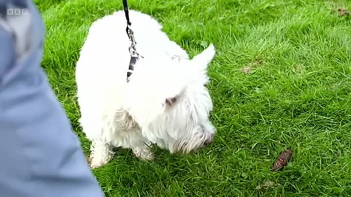 ⁣Tales From The Pub S01E02 (2019)