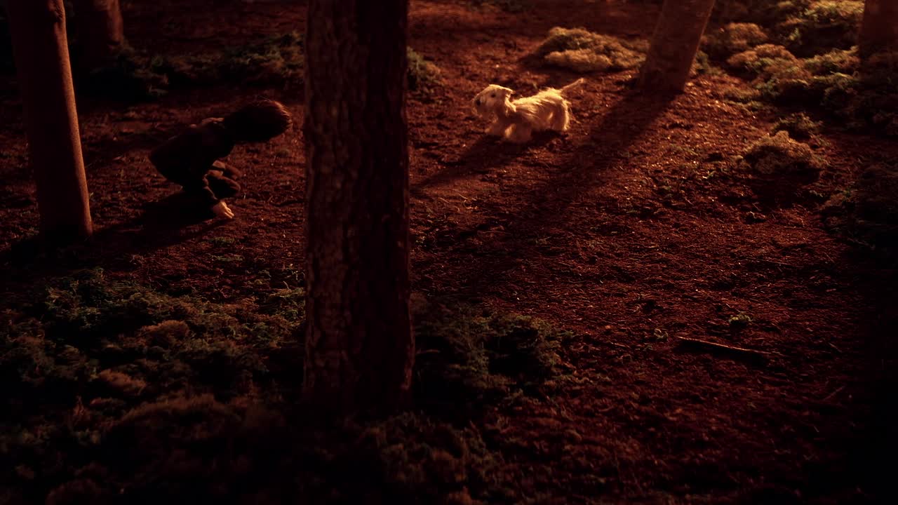 Black Eyed Dog 2023 1080p WEB x264-LOL