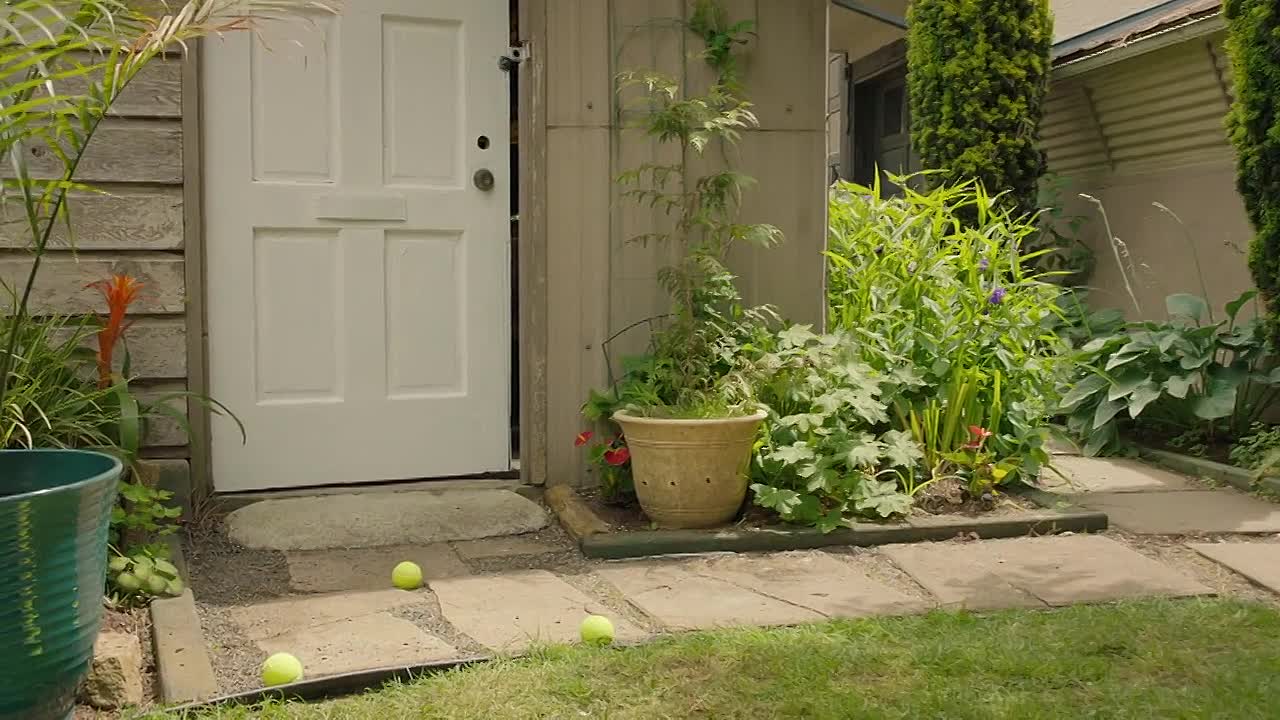 A Pickleball Christmas 2025 720p WEBRip x264 AAC-[YTS LT]