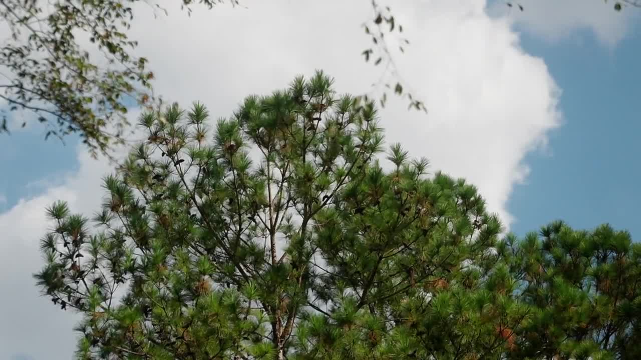 ⁣Squatters (2025) S01E01 -I'm Not Leaving