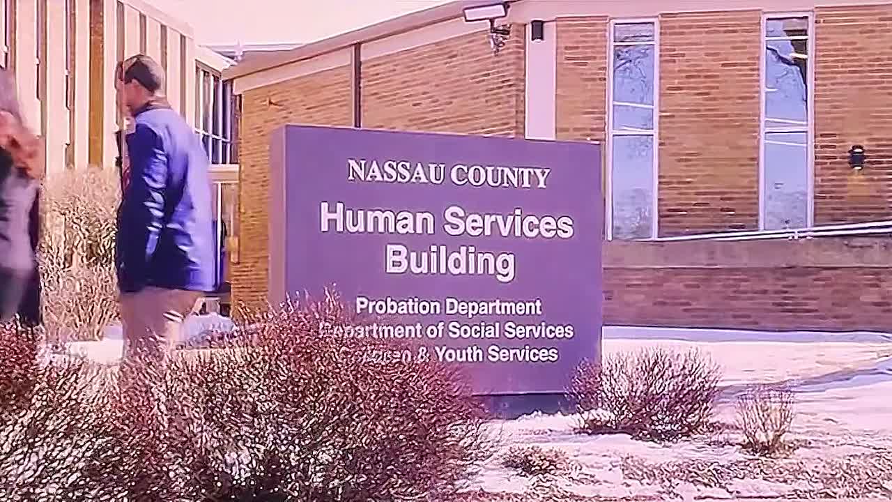 The Housemaid 2025 1080p TELESYNC x264-LOL