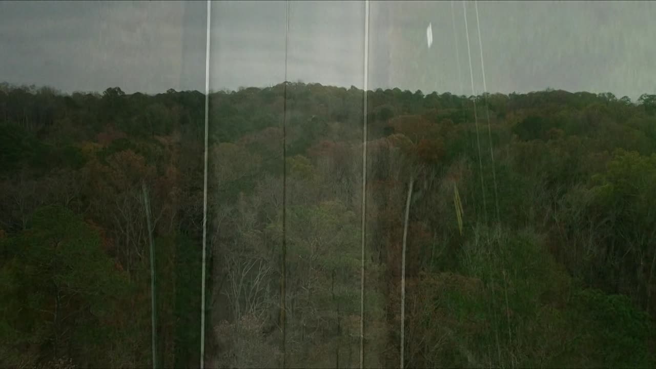 Hunting Season 2025 1080p WEB-DL HEVC x265 5.1 BONE