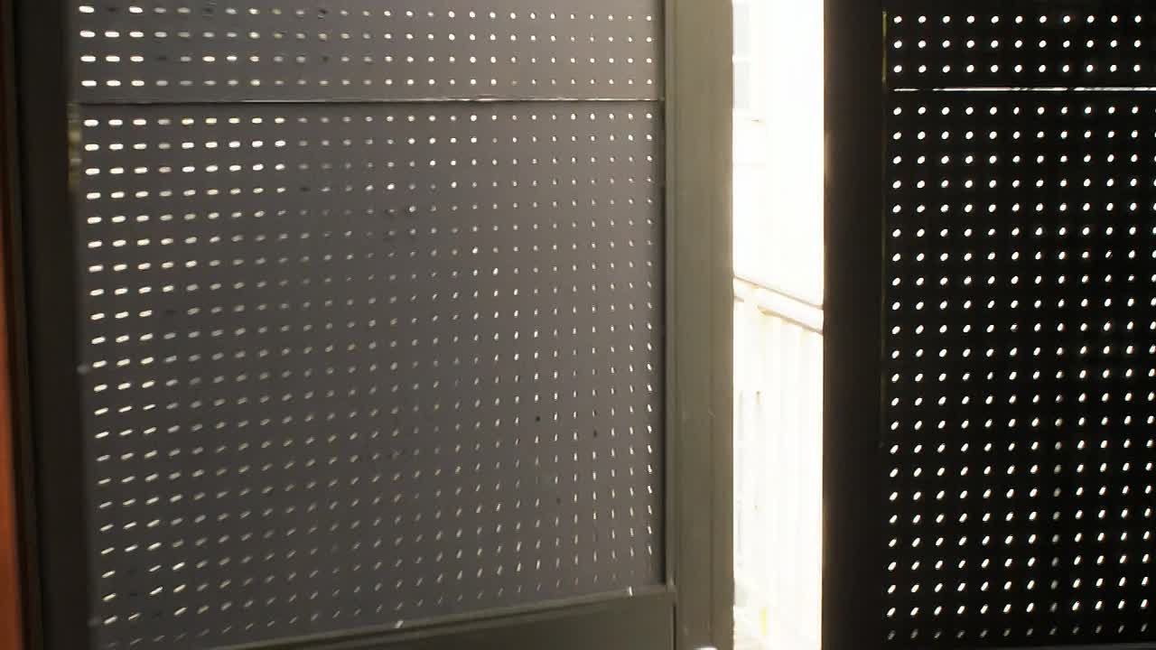 Wildcat 2025 1080p WEB-DL HEVC x265 5.1 BONE