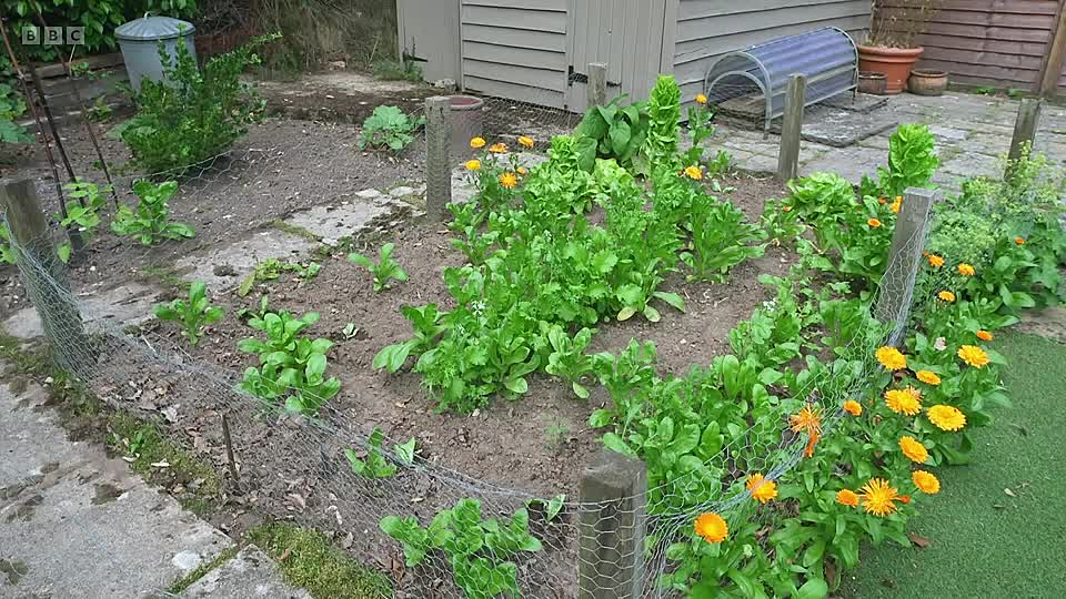 ⁣I Escaped to the Country S10E02 (Jan 5 2026)