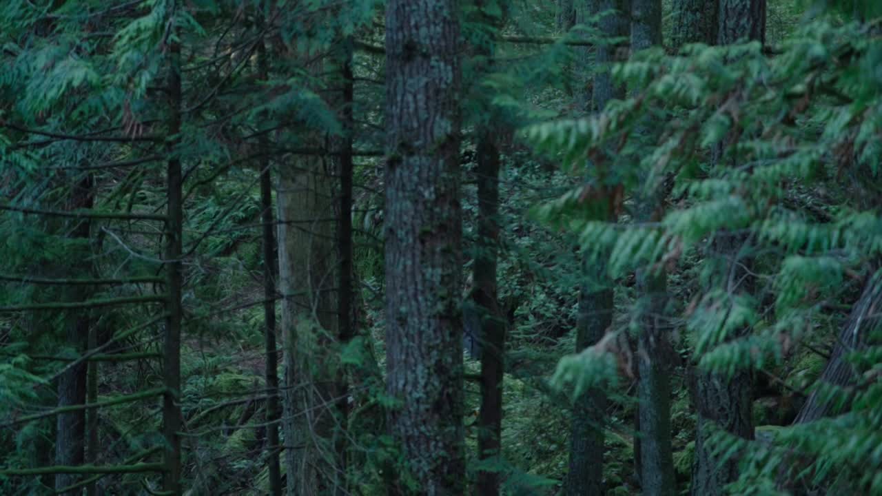 Keeper 2025 1080p WEBRip DD5 1 10bits x265-Rapta