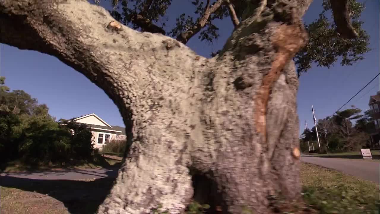 ⁣Mysteries at the Monument S02E11 -Escape from Slavery, A Witch on Hatteras Island, The Horn That Mad