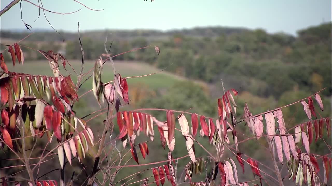 ⁣Mysteries at the Monument S02E08 -Superman vs The KKK, Who Killed Huey Long, Marches to Montgomery